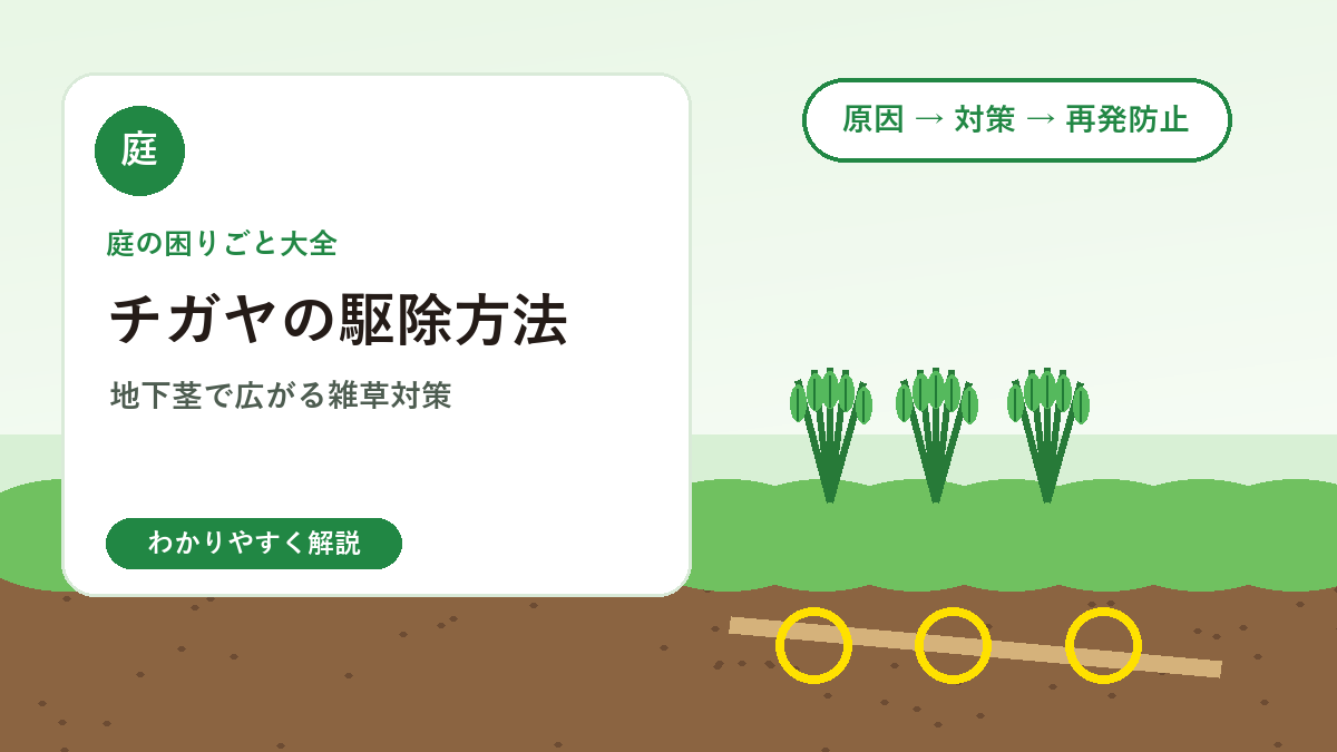 チガヤの駆除方法｜地下茎で広がる雑草を減らすには？