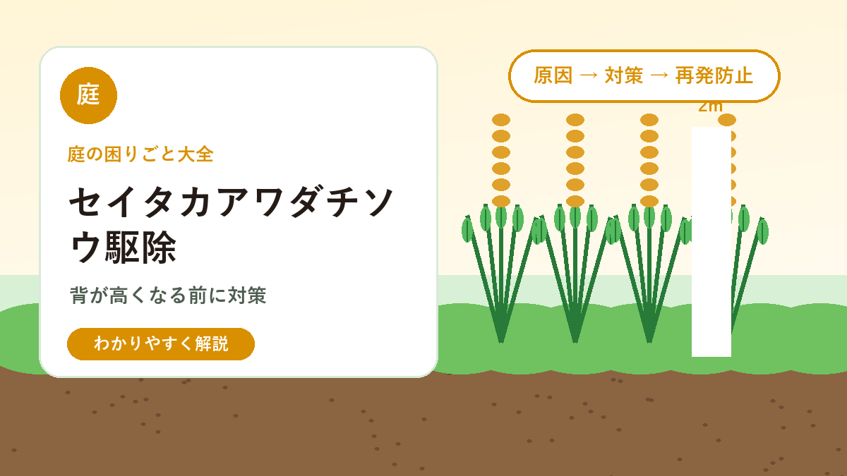セイタカアワダチソウの駆除方法｜背が高くなる前の対策