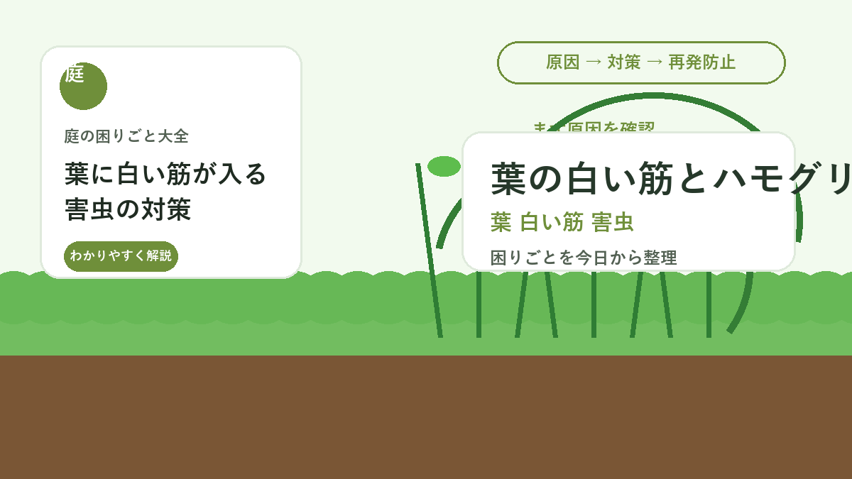 葉に白い筋が入る害虫の対策｜ハモグリバエ被害の見分け方