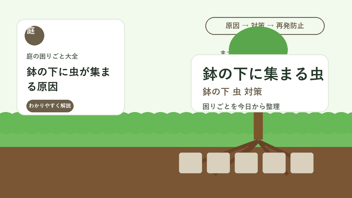 鉢の下に虫が集まる原因｜湿気をためない置き方と掃除のコツ