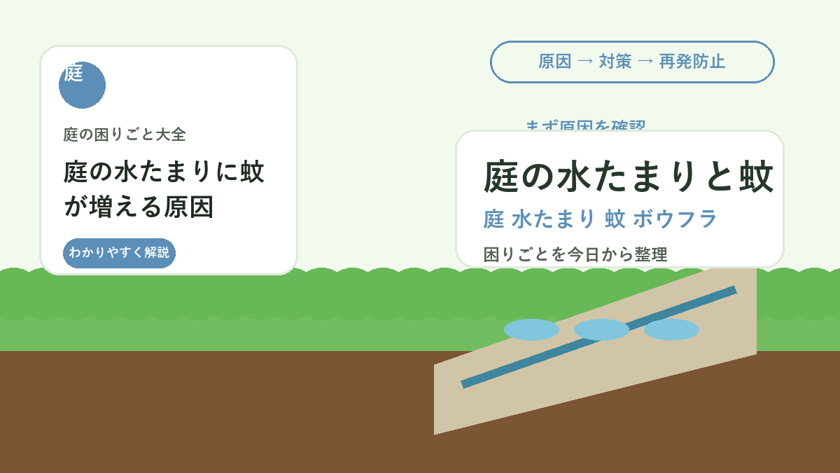 庭の水たまりに蚊が増える原因｜ボウフラを発生させない水管理