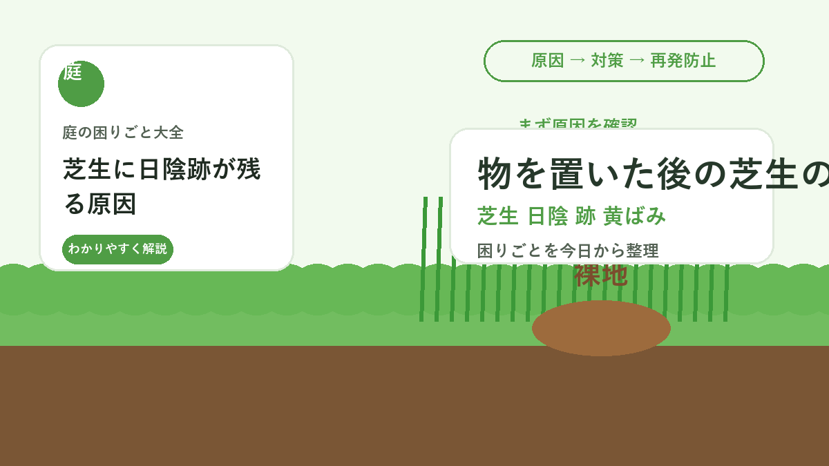 芝生に日陰跡が残る原因｜物を置いた後の黄ばみを戻す管理方法