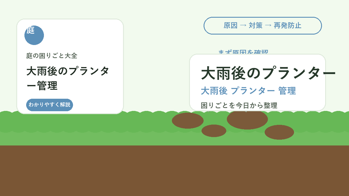 大雨後のプランター管理｜根腐れと土流れを防ぐ確認ポイント