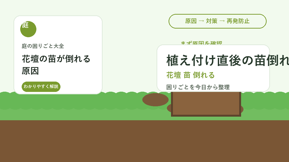 花壇の苗が倒れる原因｜植え付け直後にぐらつかせない土寄せと水やり