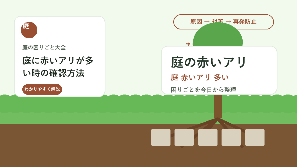 庭に赤いアリが多い時の確認方法｜刺される前に見る場所と対策