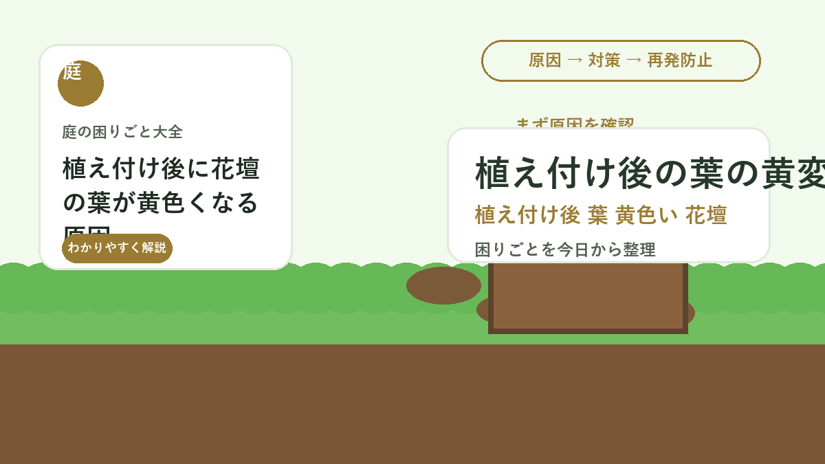 植え付け後に花壇の葉が黄色くなる原因｜根付きまでの見守り方
