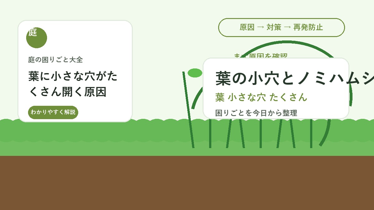 葉に小さな穴がたくさん開く原因｜ノミハムシ被害の見分けと対策