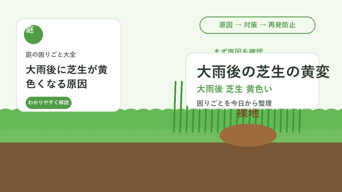 大雨後に芝生が黄色くなる原因｜水はけと根の酸欠を見直す方法
