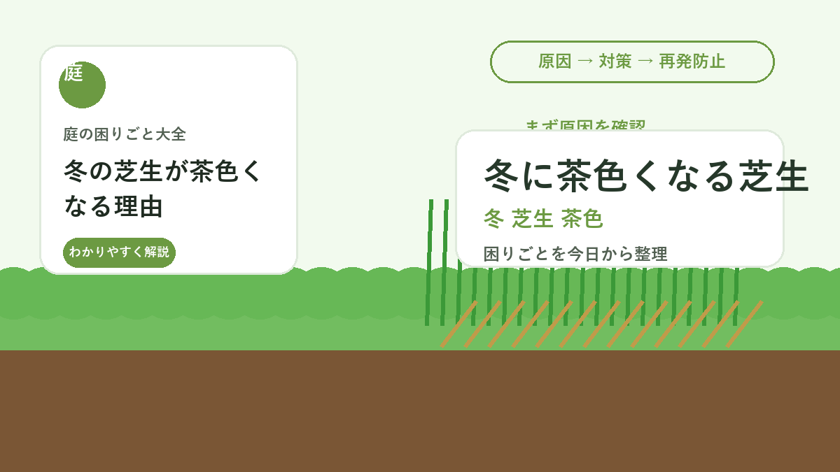 冬の芝生が茶色くなる理由｜枯れたのか休眠なのか見分ける管理方法