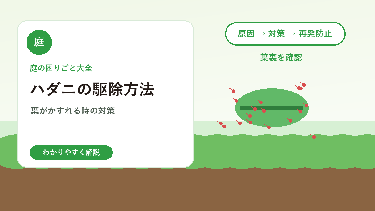 ハダニの駆除方法｜葉がかすれる・白くなる庭木や草花の対策