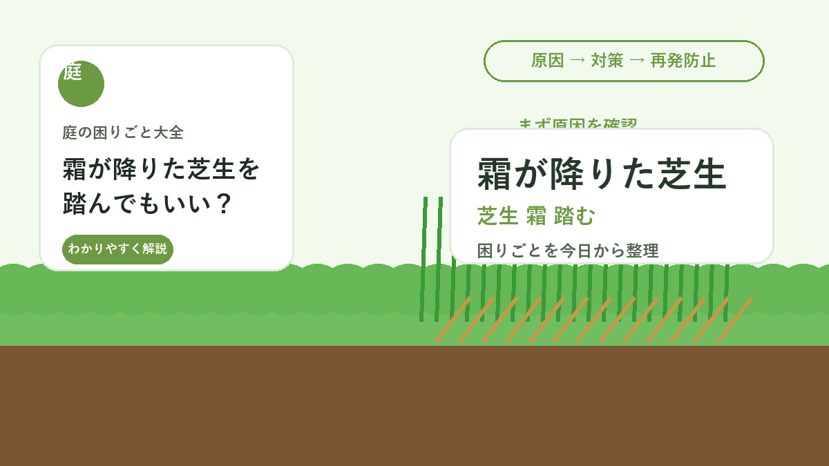 霜が降りた芝生を踏んでもいい？｜冬の足跡ダメージを防ぐ歩き方