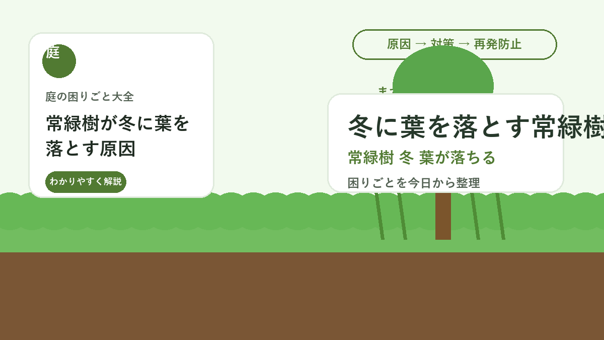 常緑樹が冬に葉を落とす原因｜枯れとの違いと庭木の様子を見るポイント