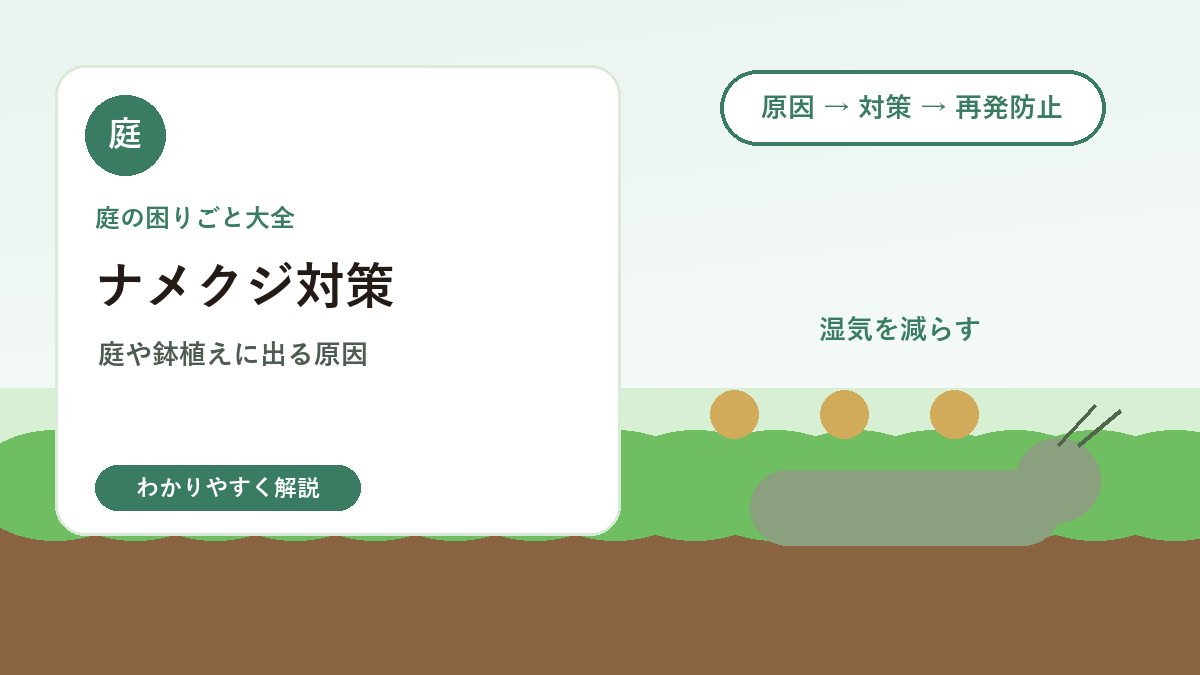 ナメクジ対策｜庭や鉢植えに出る原因と安全に減らす方法