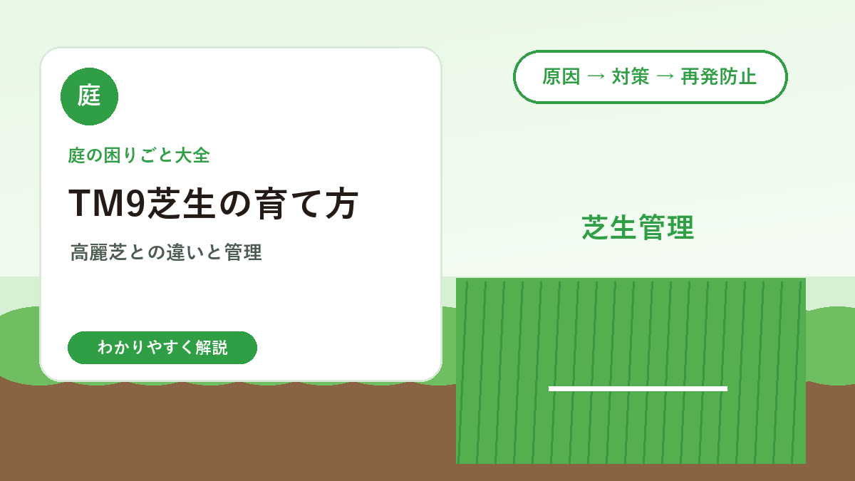 TM9芝生の育て方｜高麗芝との違いと失敗しない管理のコツ