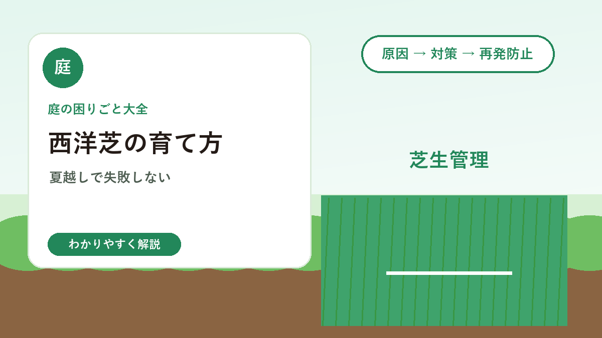 西洋芝の育て方｜日本の庭で失敗しやすい理由と管理方法