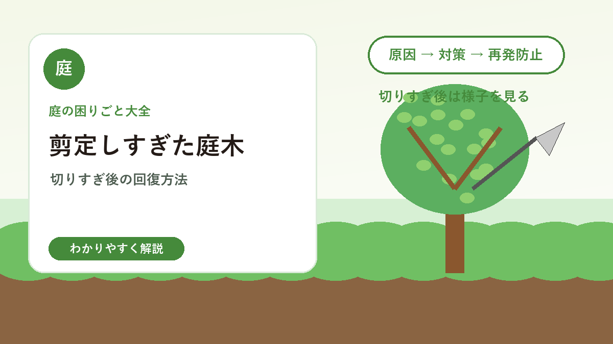 剪定しすぎた庭木は戻る？切りすぎた後の回復方法と注意点