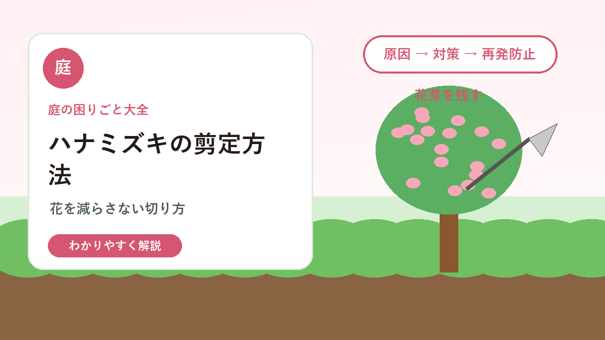 ハナミズキの剪定方法｜花が咲かない原因と切り方の基本