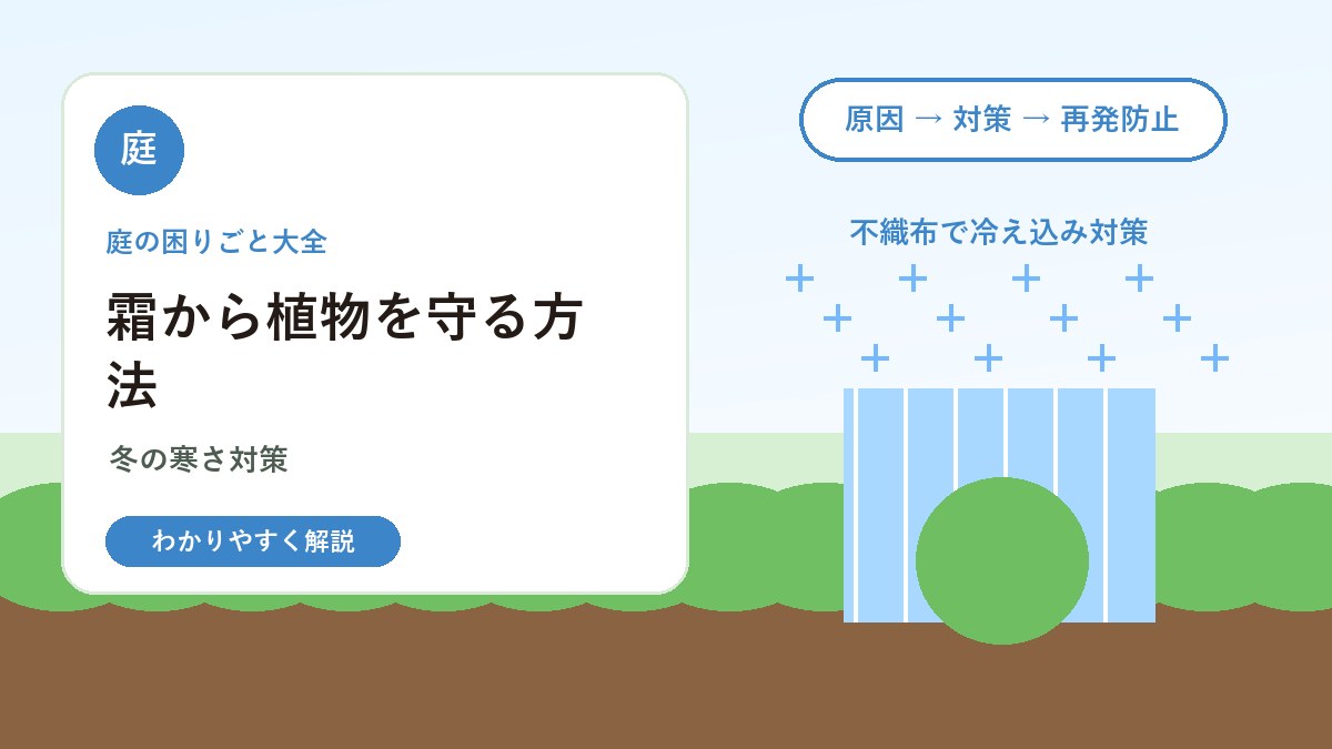 霜から庭の植物を守る方法｜冬の寒さ対策とやってはいけない管理