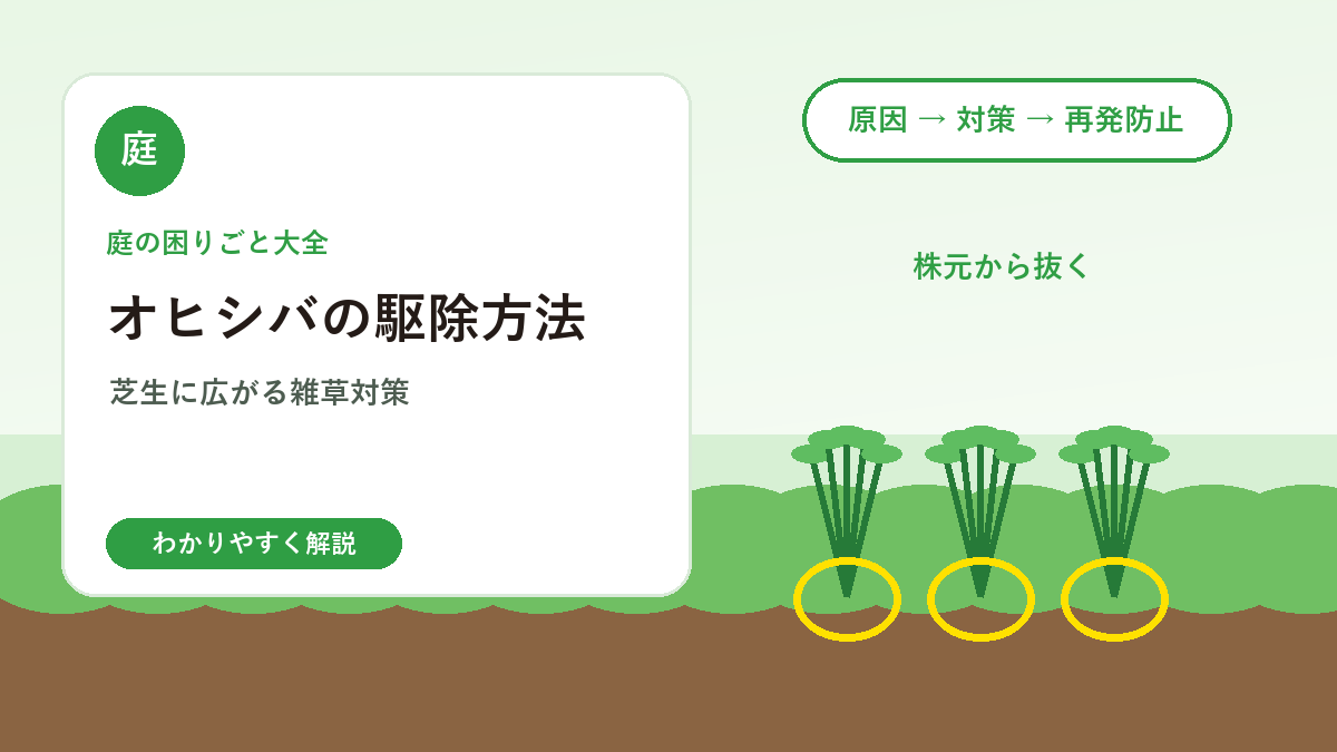 オヒシバの駆除方法｜芝生や庭に広がるしつこい雑草対策