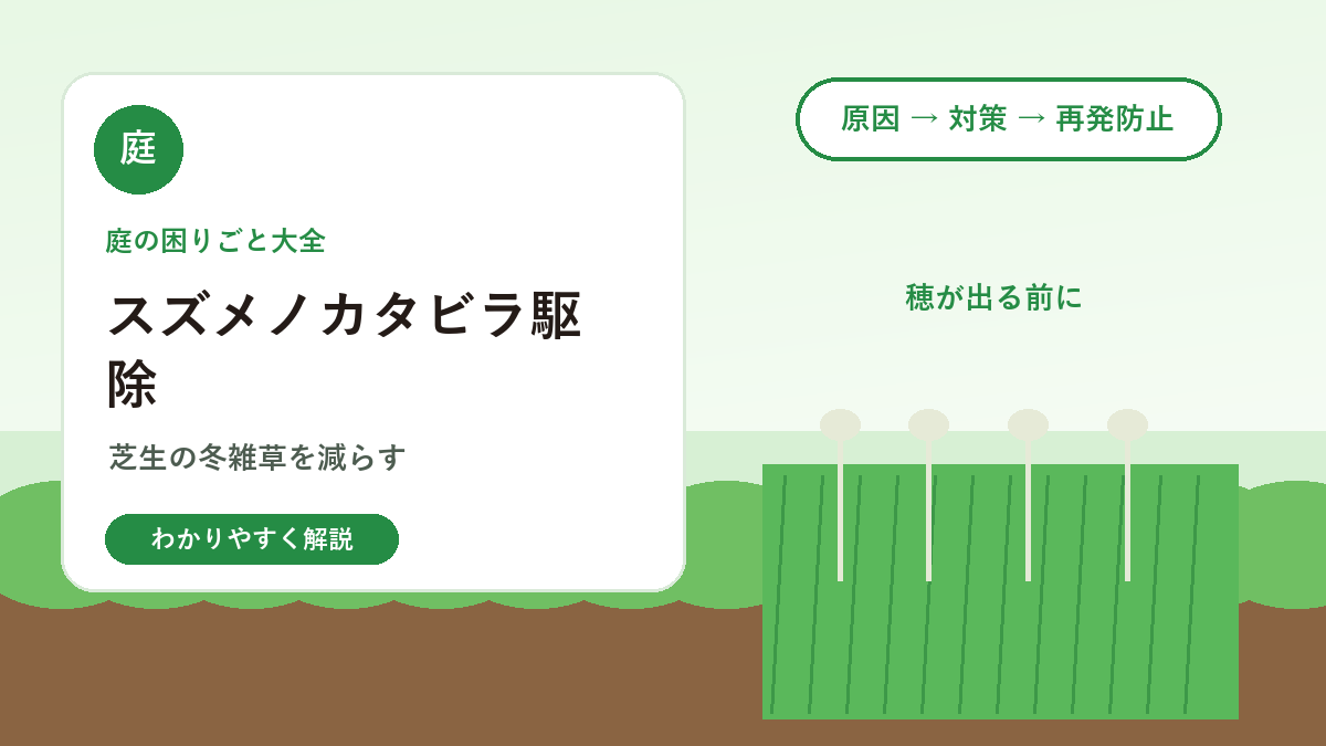 スズメノカタビラの駆除方法｜芝生に出る冬雑草を減らすコツ