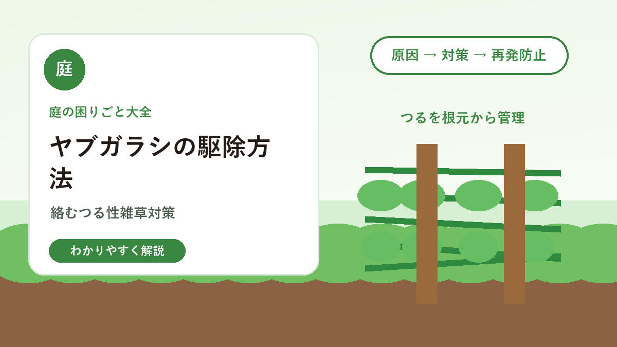 ヤブガラシの駆除方法｜フェンスや庭木に絡むつる性雑草対策
