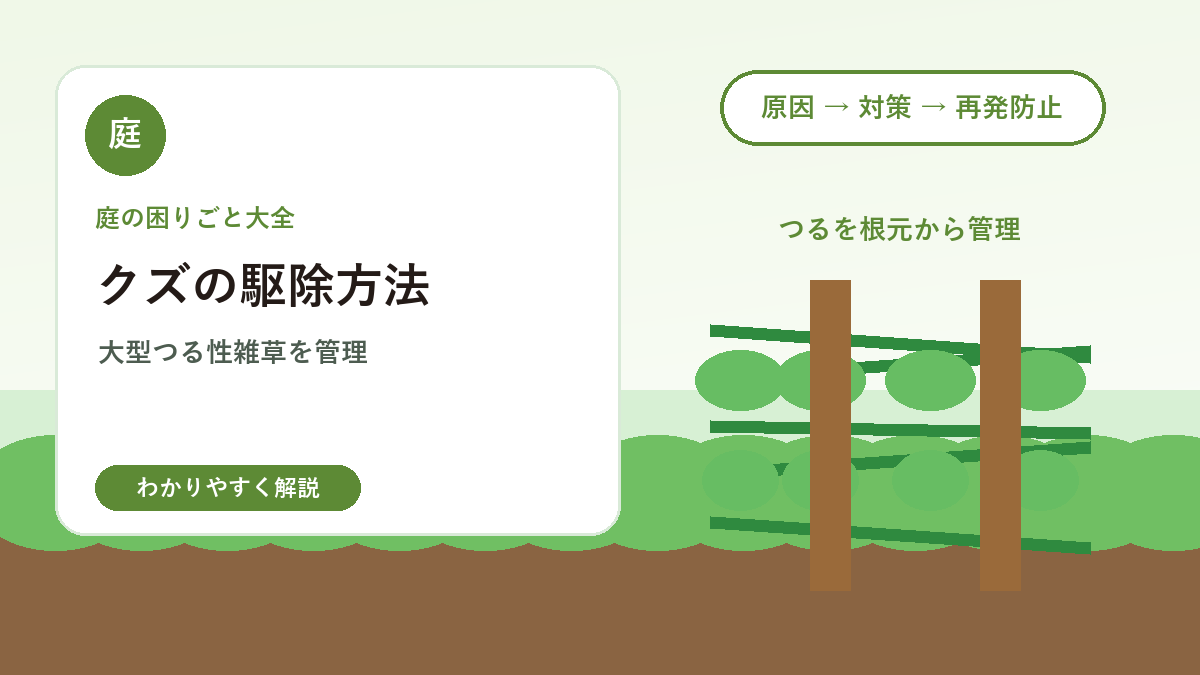 クズの駆除方法｜庭や空き地に広がる大型つる性雑草の対策