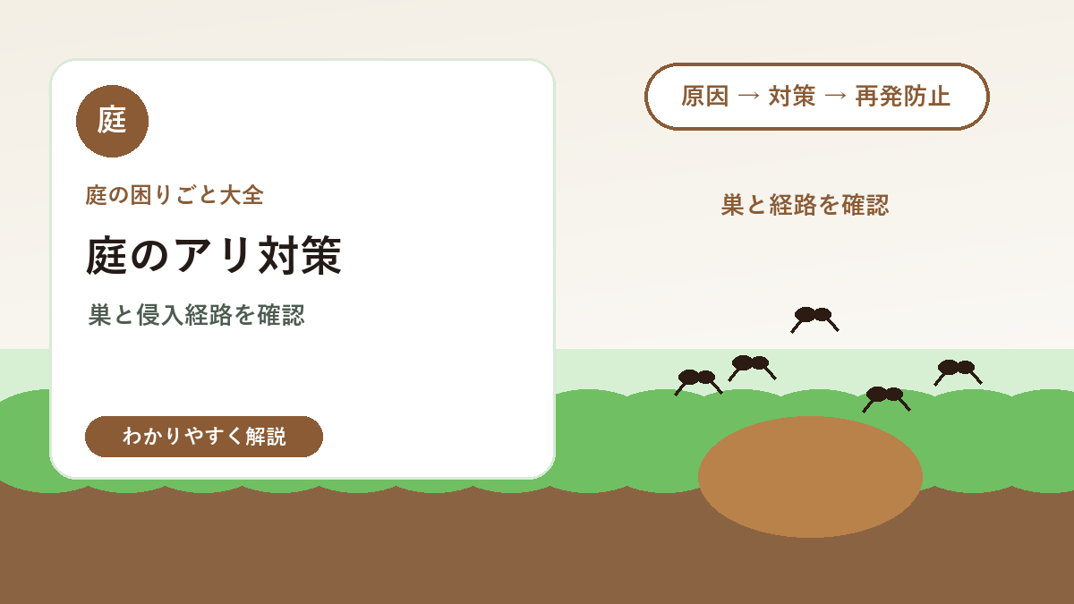 庭のアリ対策｜巣が増える原因と家に入らせない管理方法