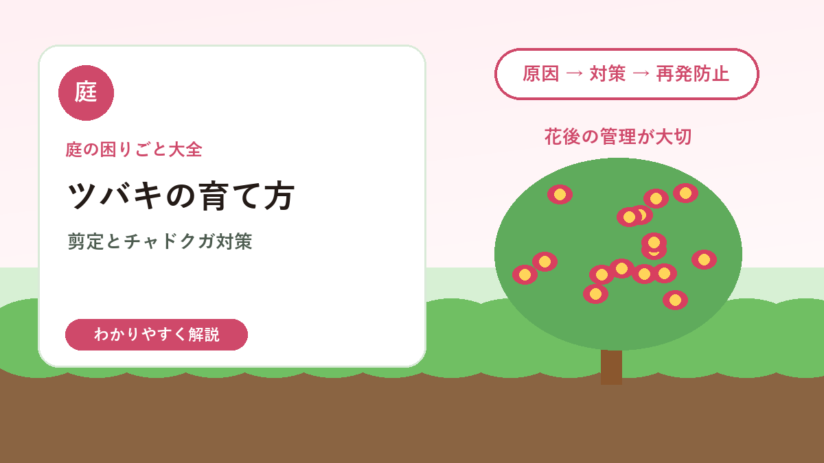 ツバキの育て方｜剪定・害虫・チャドクガ対策まで庭木管理の基本