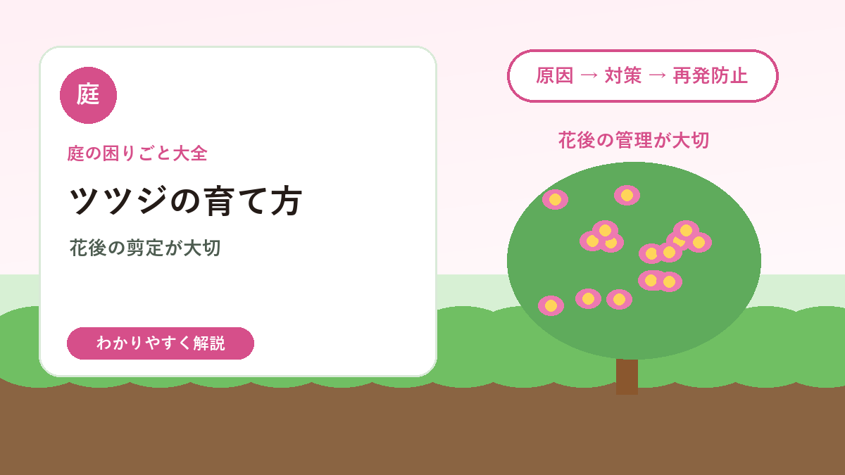 ツツジの育て方｜花後の剪定と花が咲かない原因を解説
