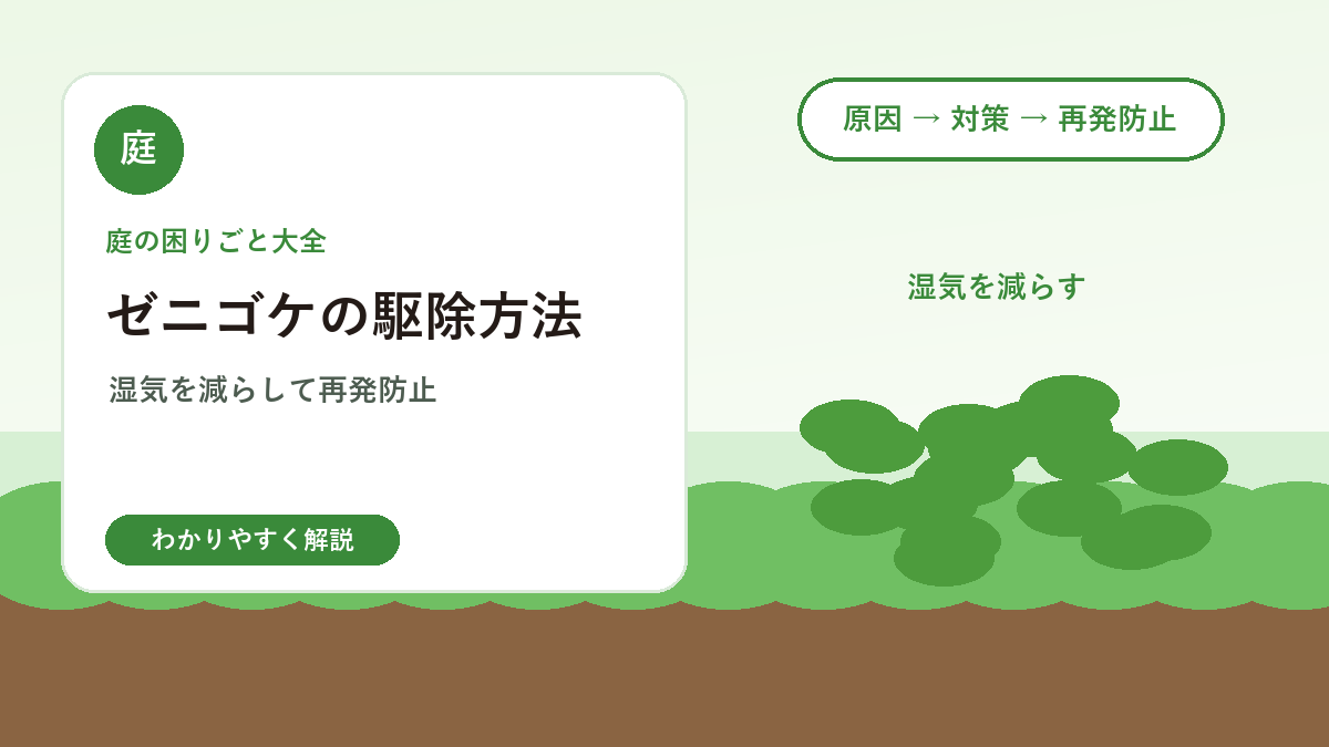 ゼニゴケの駆除方法｜庭や鉢まわりに広がるコケを減らすには？