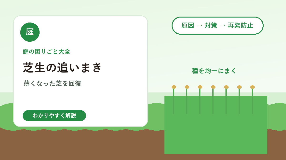 芝生の追いまきとは？薄くなった芝を回復させる種まきの方法