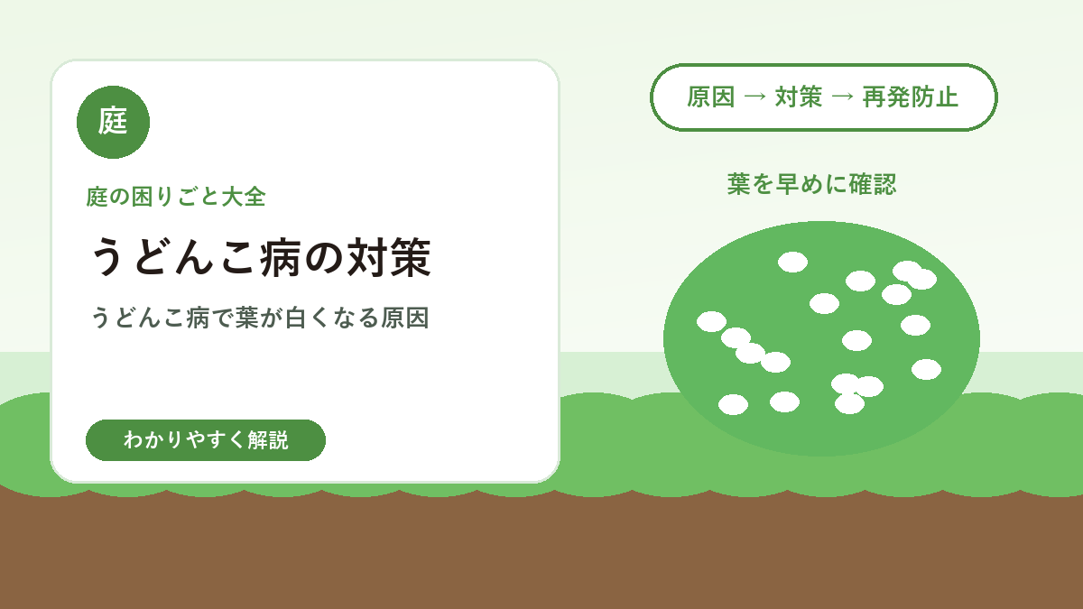 うどんこ病の対策｜葉が白くなる原因と庭でできる予防方法