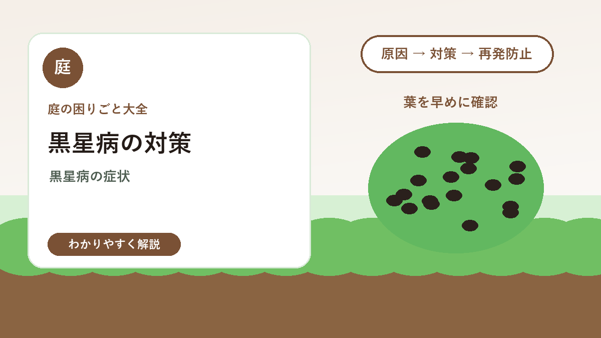 黒星病の対策｜バラや庭木の葉に黒い斑点が出る原因と管理