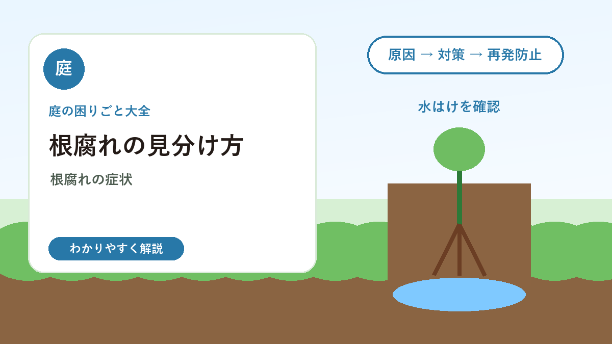 根腐れの見分け方｜庭木や鉢植えが元気ない原因と対処法
