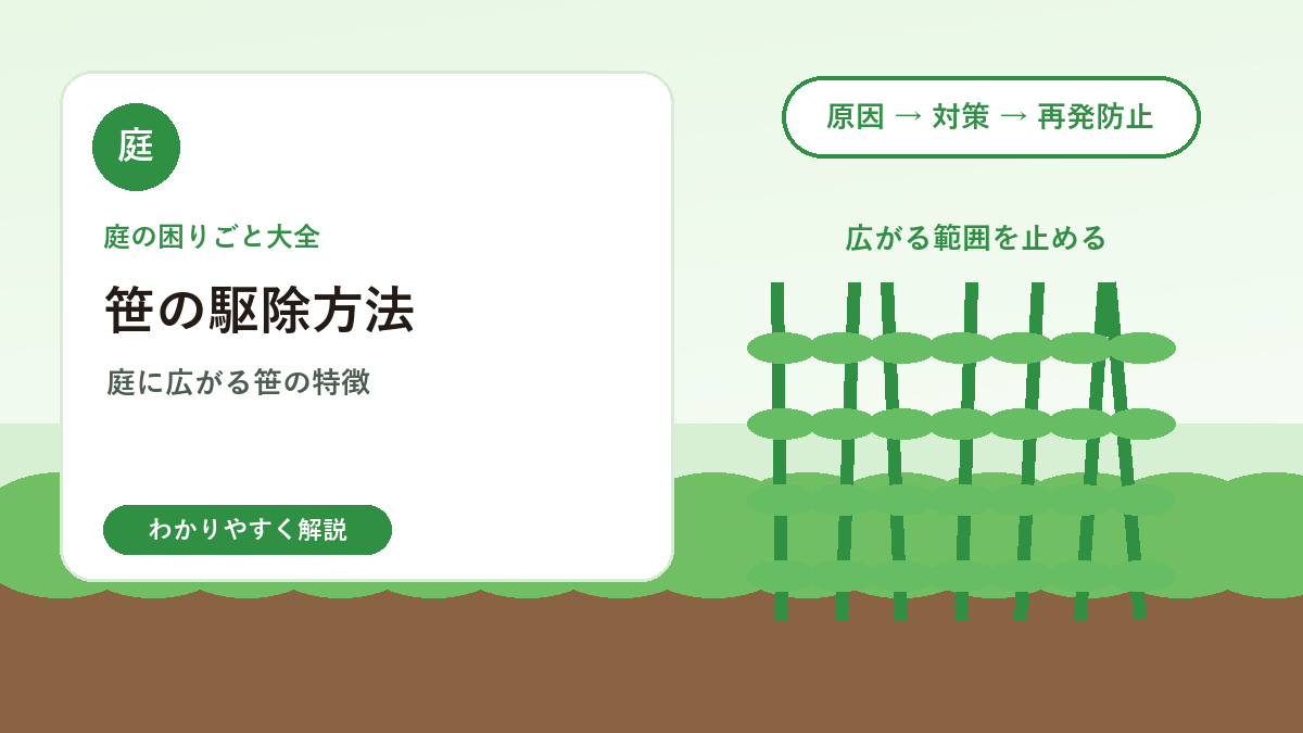 笹の駆除方法｜庭に広がる地下茎を減らす対策と注意点