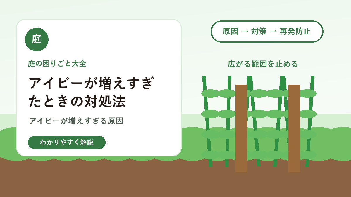 アイビーが増えすぎたときの対処法｜壁や庭木に絡む前に整える